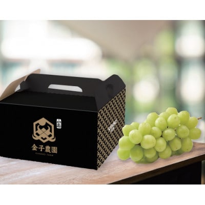 【唯一無二の逸品】全国でココだけでしか味わえない幻のハウスオブシャインマスカット　お試し6月下旬発送