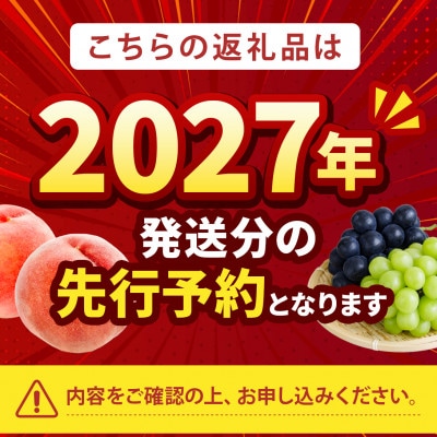 2027年発送先行受付【贈り物に喜ばれる】最高糖度25度比類なき絶対糖度シャトーネクタリン7月下旬