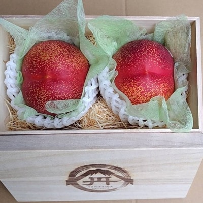 【周りに差をつける贈り物】最高糖度25度比類なき絶対糖度シャトーネクタリン2025年8月下旬より発送