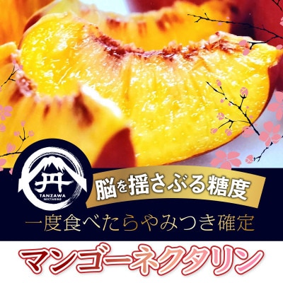 【今しか食べられない初物マンゴーネクタリン】脳内に直接響く圧倒的糖度 6月下旬より順次発送 約1kg