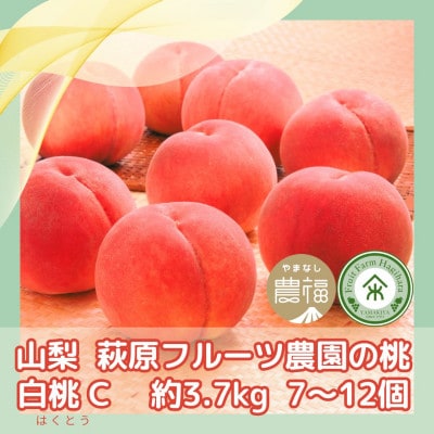 山梨 萩原フルーツ農園の桃　白桃C (約3.7kg 7～12個入)
