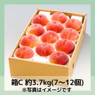 山梨 萩原フルーツ農園の桃　白桃C (約3.7kg 7～12個入)