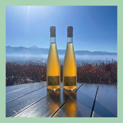 山梨 はぎふる ノンアルコールスパークリング シャインマスカット 500ml×2本 (化粧箱入)