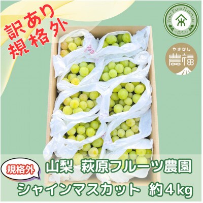 数量限定! 山梨 萩原フルーツ農園の【訳あり規格外品】シャインマスカット 約4kg　
