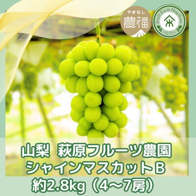 山梨 萩原フルーツ農園のシャインマスカット B(約2.8kg 4～7房)