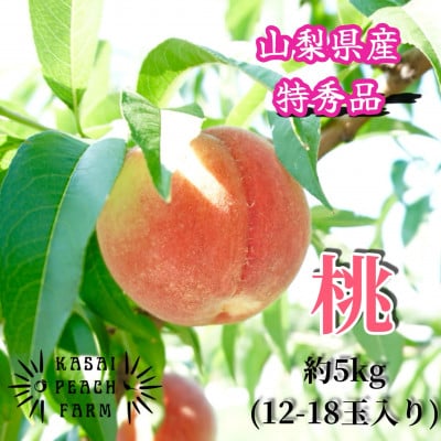 厳選朝採り桃 山梨の笠井桃園の桃 約5kg