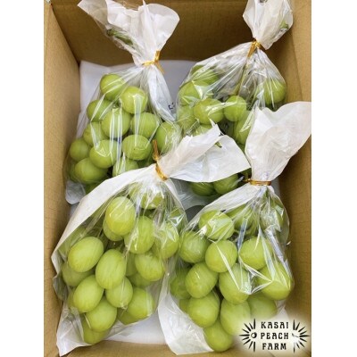 【2026年発送】訳あり シャインマスカット 2～3房 1kg以上