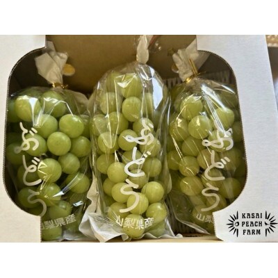 【2026年発送】訳あり シャインマスカット 2～3房 1kg以上