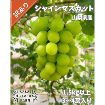 【2026年発送】訳あり シャインマスカット 3～4房 1.5kg以上