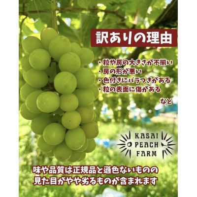【2026年発送】訳あり シャインマスカット 3～4房 1.5kg以上