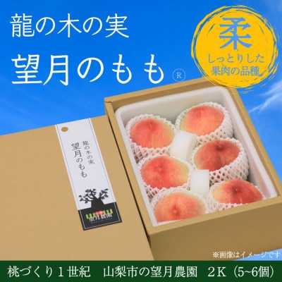 柔らかめの品種の桃・2K(5~6個)「龍の木の実 望月のもも」
