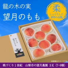 柔らかめの品種の桃・3K(7~9個) 「龍の木の実 望月のもも」