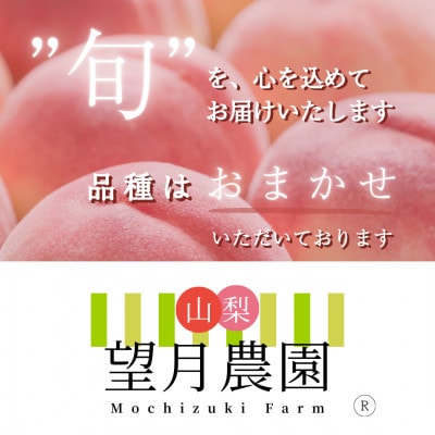 柔らかめの品種の桃・3K(7~9個)「龍の木の実 望月のもも」