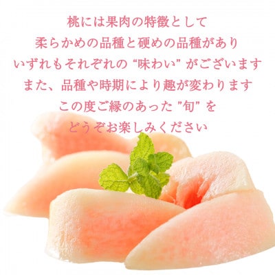 柔らかめの品種の桃・3K(7~9個)「龍の木の実 望月のもも」