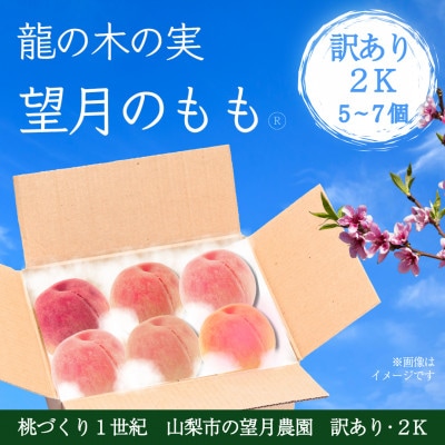 訳あり桃・2K(5~7個)「龍の木の実 望月のもも」