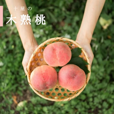 三十屋木熟桃 【1.5kg(3～6玉)】