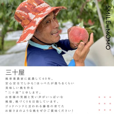 三十屋木熟桃 【1.5kg(3～6玉)】