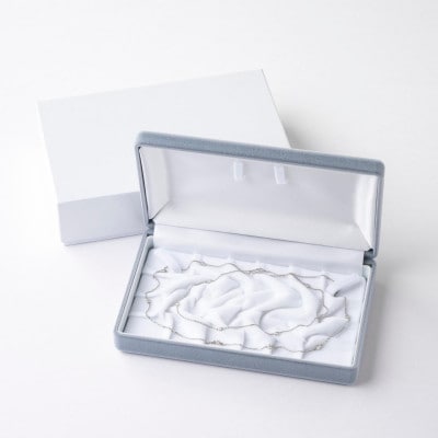 プラチナダイヤモンドステーションロングネックレス 16pcs Total 1ct 全長80cm