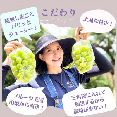 農園直送!厳選!山梨産シャインマスカット2房(1kg以上)