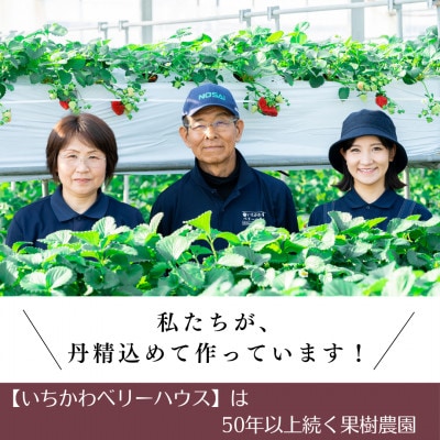 農園直送!厳選!山梨産シャインマスカット2房(1kg以上)