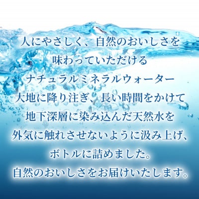 【毎月定期便】「おいしい水」 天然水 600ml【24本入】アサヒ飲料全2回　防災