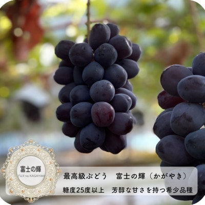 富士の輝　大房800g以上　1房