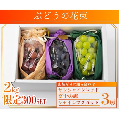 【2026年先行予約】サンシャインレッド 富士の輝 シャインマスカット 2kg 3房(各1房)