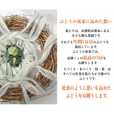 【2026年先行予約】サンシャインレッド 富士の輝 シャインマスカット 2kg 3房(各1房)