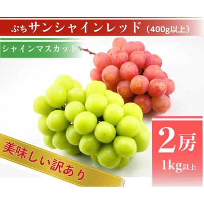 【2026年先行予約】サンシャインレッドとシャインマスカット　美味しい訳あり計1kg詰め合わせ