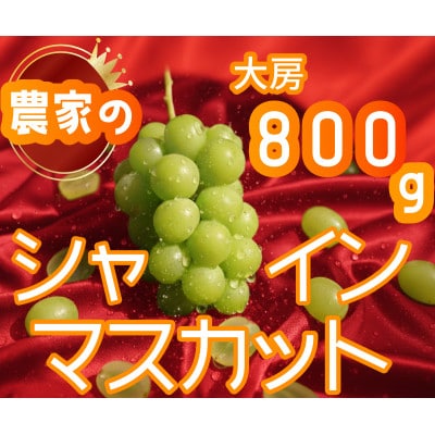 【2026年先行予約】シャインマスカット 1房 800g 小さな農家のこだわりシャイン