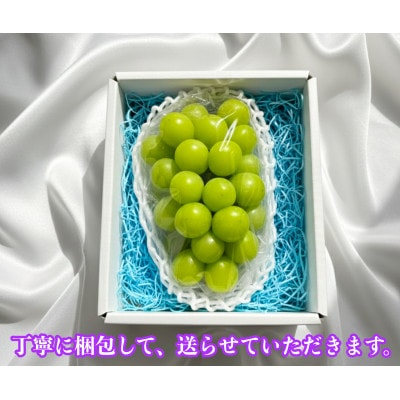 【2026年先行予約】シャインマスカット 1房 800g 小さな農家のこだわりシャイン
