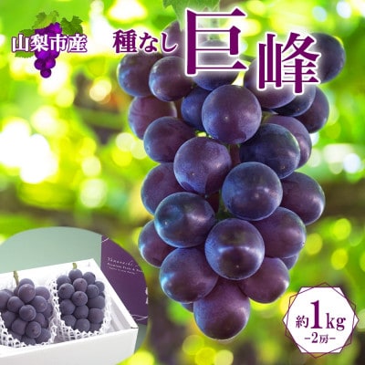 濃厚な味わいが特徴!「山梨県山梨市産の巨峰 2房 約1kg」
