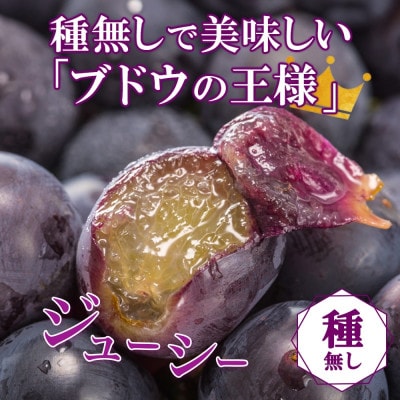 濃厚な味わいが特徴!「山梨県山梨市産の巨峰 2房 約1kg」