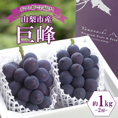 濃厚な味わいが特徴!「山梨県山梨市産の巨峰 2房 約1kg」