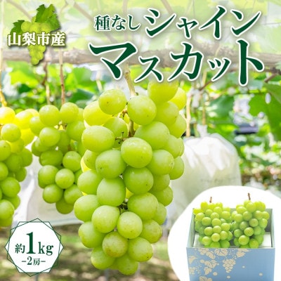 大房で食べ応え満点!「山梨県山梨市産 シャインマスカット 2房 約1kg」