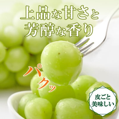 大房で食べ応え満点!「山梨県山梨市産 シャインマスカット 2房 約1kg」