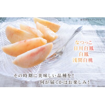 桃 2kg (5～8玉) 山梨県山梨市　数量限定　 季節限定