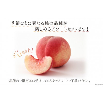 桃 3kg (7～12玉) 山梨県山梨市　数量限定　季節限定