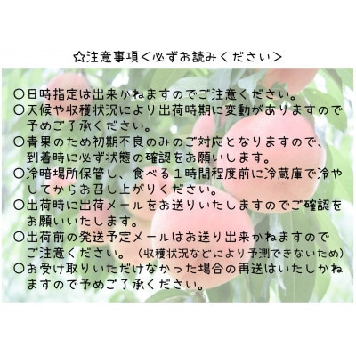 【2026年発送 先行受付】山梨県山梨市産 桃 2kg (5～8玉)