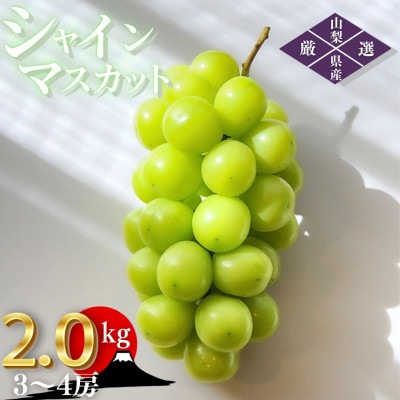 【2026年発送 先行受付】山梨県山梨市産 朝採れ シャインマスカット 2.0kg (3～4房)