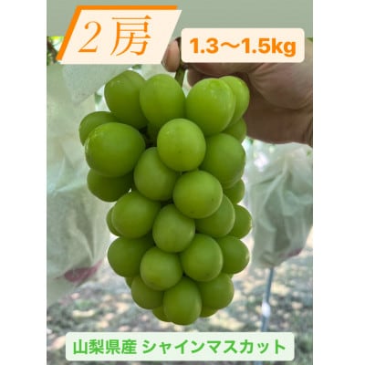 シャインマスカット2房1.3~1.5kg