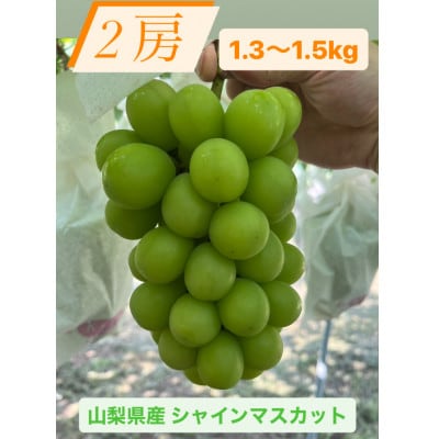 【発送月固定定期便】旬のピオーネ+シャインマスカット2房(1.3～1.5kg)全2回