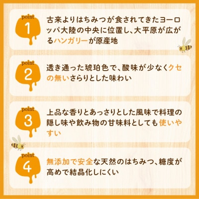 特選ハンガリー産アカシアはちみつ 300g
