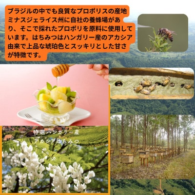 プロポリス・ハニーC 40包