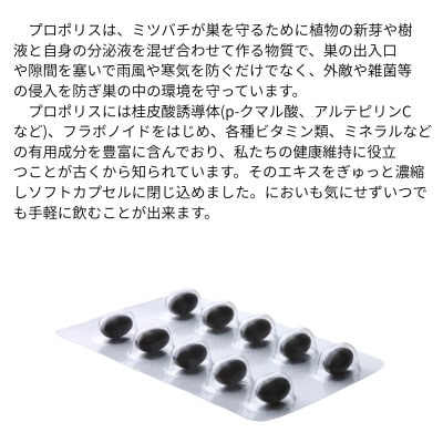 バイオフラボンメディック 240粒