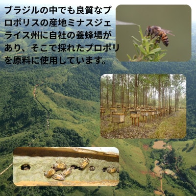 バイオフラボンメディック 240粒