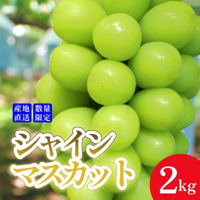 【産地直送】厳選高級シャインマスカット 2kg(3～4房)