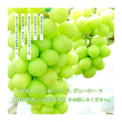 【産地直送】厳選高級シャインマスカット 2kg(3～4房)