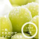 シャインマスカット 1房 ( 500g 以上 ) 山梨県産
