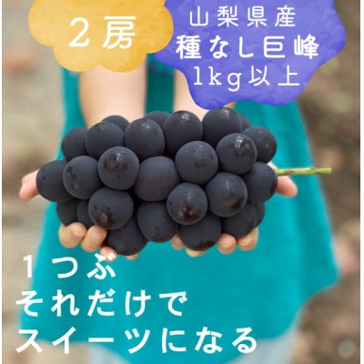 【2026年発送分先行受付】巨峰ぶどう(種なし) 　2房　1kg 以上　産地直送　山梨県山梨市牧丘産
